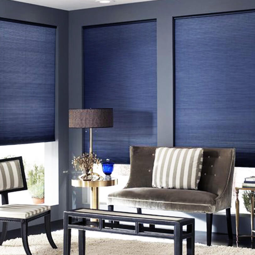 Blue thermoflex honeycomb blinds in sitting room