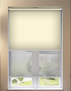 Double roller blind in office window