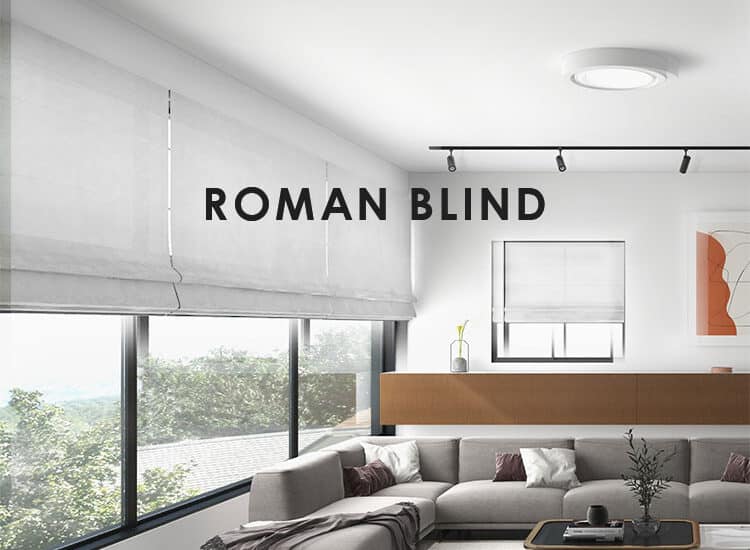 roman blind in tv room window