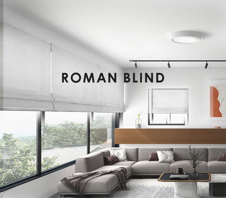 roman blind in tv room window