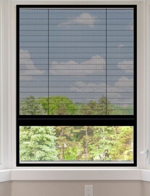 side track insect screen on window frame with a garden view